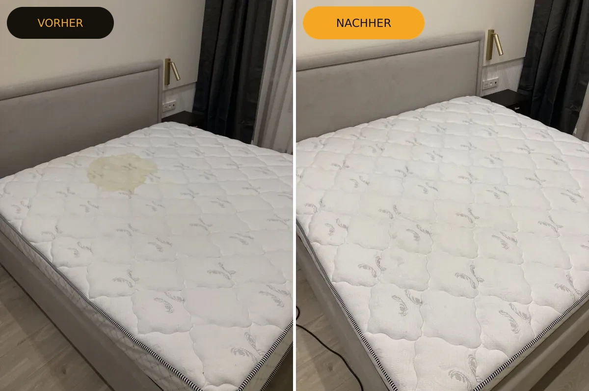 Matratzenreinigung Pforzheim — King-Size Matratze gereinigt