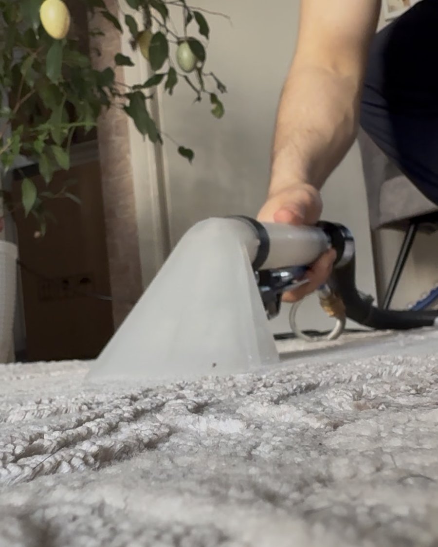 Teppichreinigung Pforzheim — Teppich wird mit Sprühextraktion vor Ort gereinigt