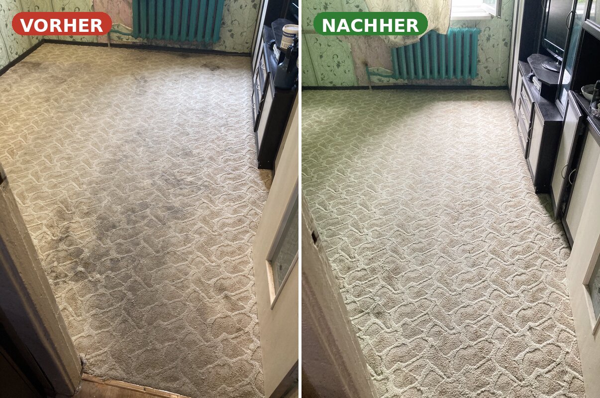 Teppichreinigung Pforzheim — Beiger Wollteppich tief gereinigt