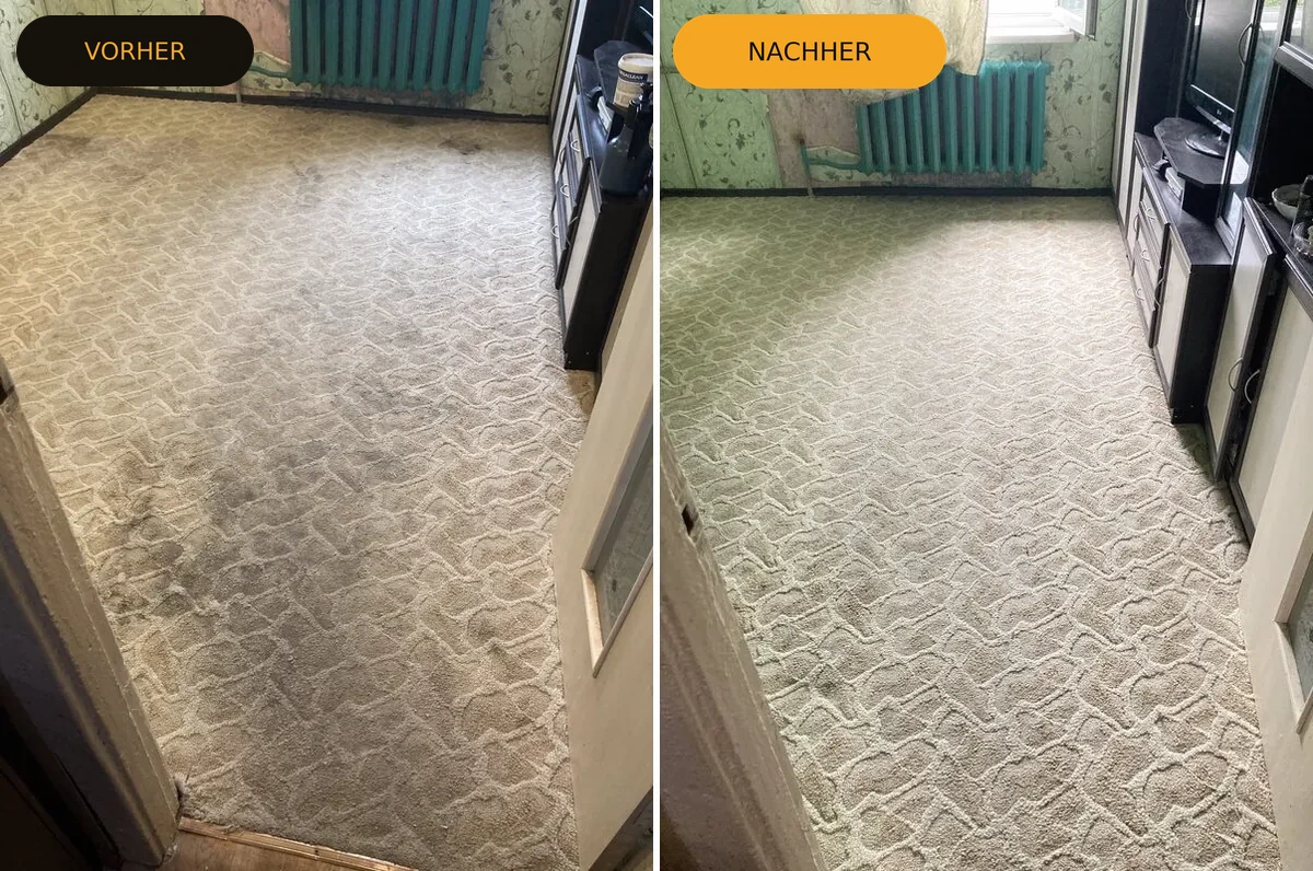 Teppichreinigung Pforzheim — Beiger Wollteppich tief gereinigt