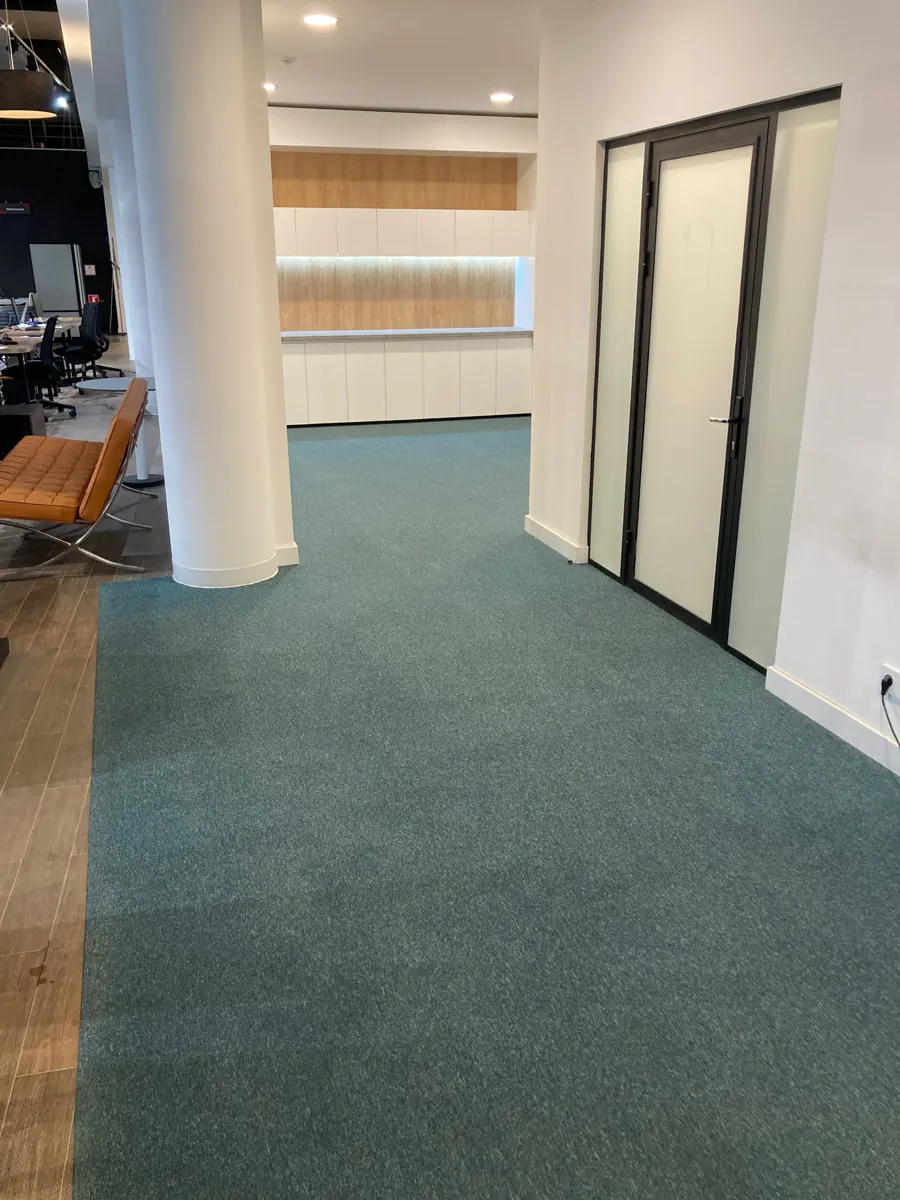 Teppichbodenreinigung Pforzheim — gereinigter Teppichboden im Büro- und Kundenbereich